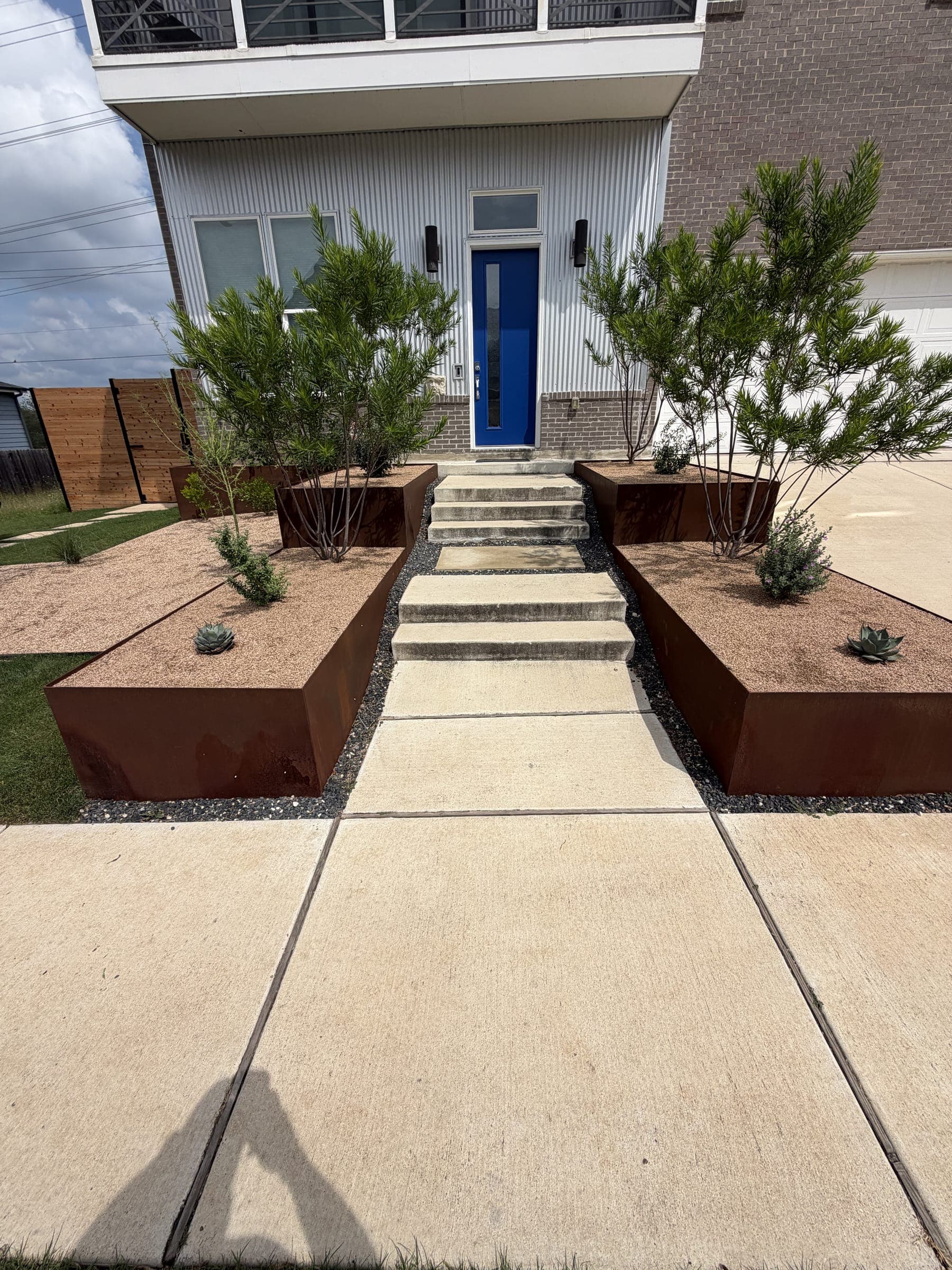 Front walk with steel planters, young trees and a blue front door